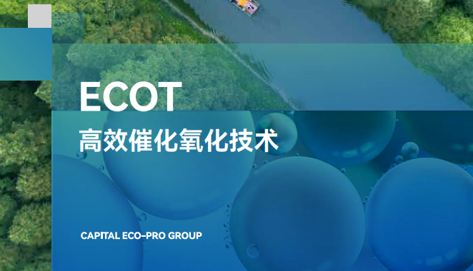 ECOT高效催化氧化技术